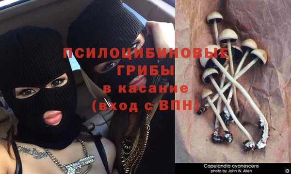 дурь Белокуриха