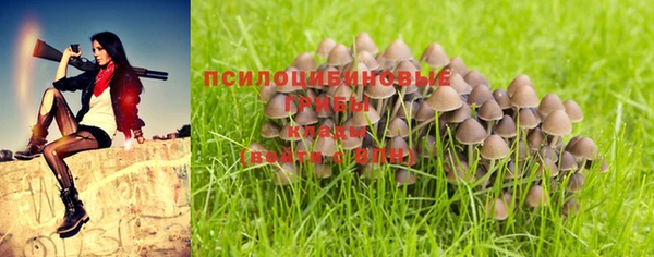 гашиш Беломорск