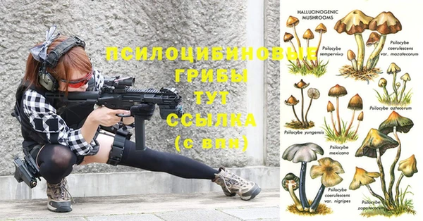 дурь Белокуриха